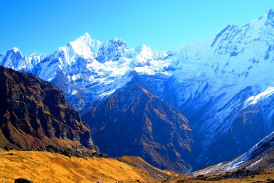 DRUK PATH TREK